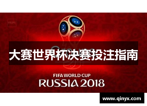大赛世界杯决赛投注指南